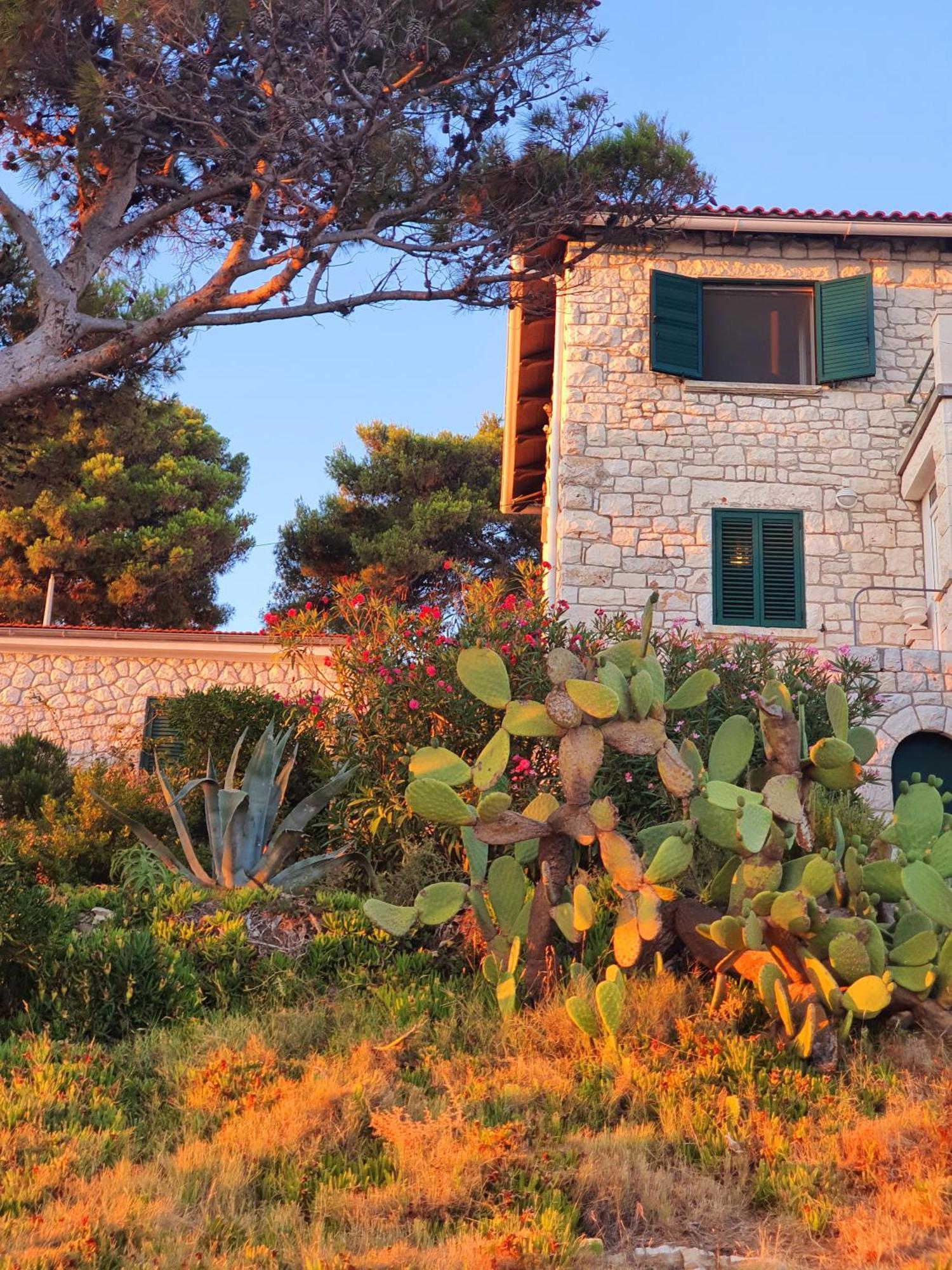 Violeta Hvar Hvar Town Exteriör bild